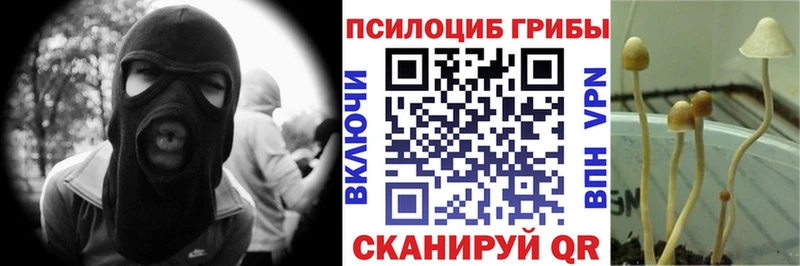 Галлюциногенные грибы Psilocybe  Инта 